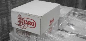 whatsapp image 2025 11 11 at 22.37.36